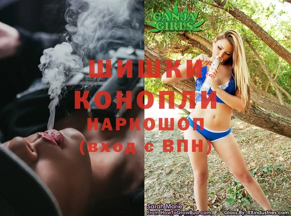крисы Алексин