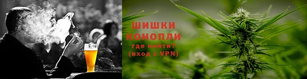 ПСИЛОЦИБИНОВЫЕ ГРИБЫ Алзамай