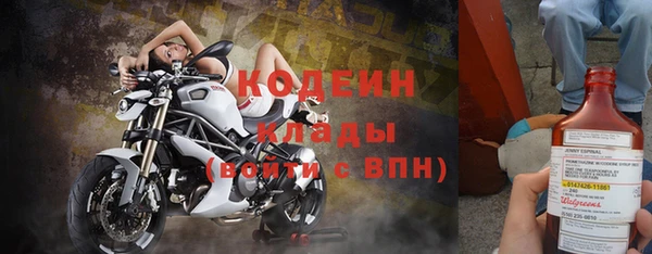 ПСИЛОЦИБИНОВЫЕ ГРИБЫ Алзамай