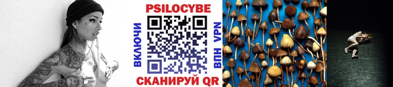 наркота блэк спрут как войти Галлюциногенные грибы Psilocybine cubensis Дзержинск