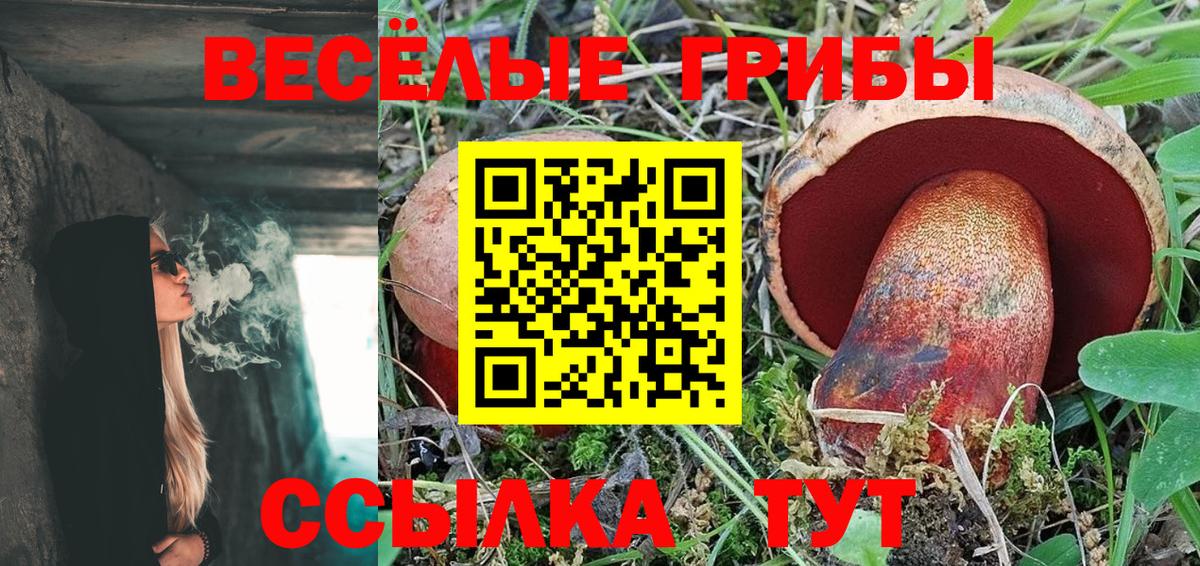 Галлюциногенные грибы Magic Shrooms Дзержинск